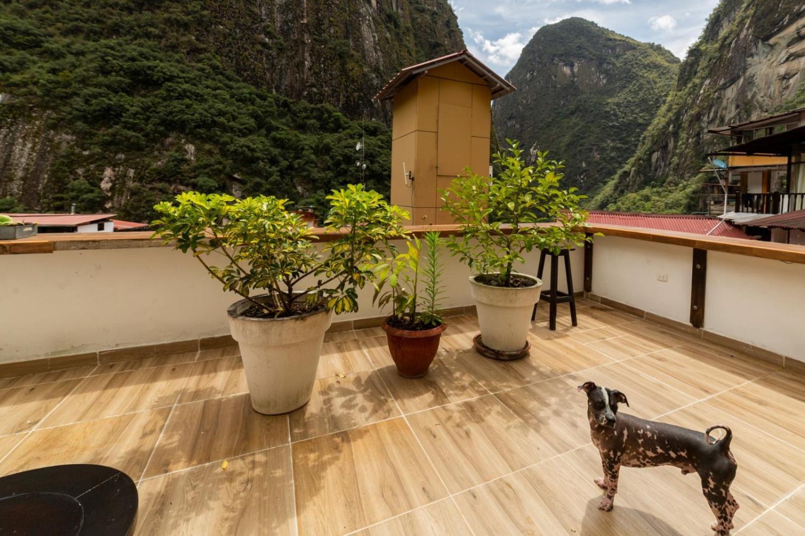 Gringo Bill'S Boutique Hotel Machu Picchu Exterior foto